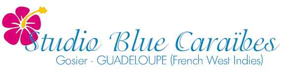 Studio Blue Caraibes